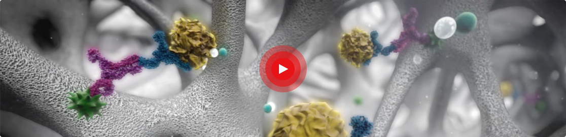ImmunoCAP™ Allergy Testing Solutions | Thermo Fisher Scientific