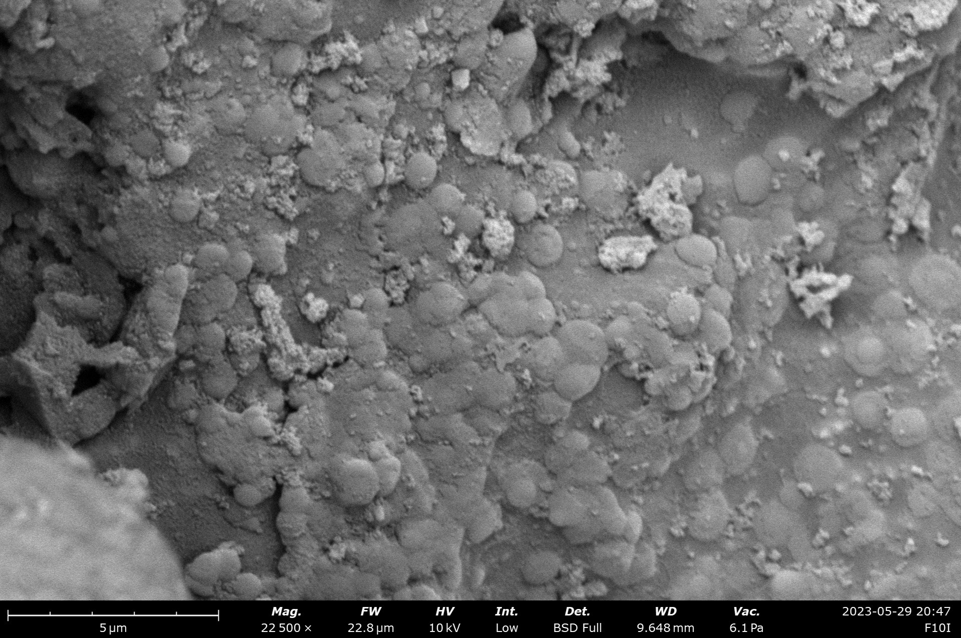 Thermo Fisher’s portable SEM enables highly magnified images of bacteria samples taken from the lava tubes. (Rogier Miltenburg, Thermo Fisher Scientific)