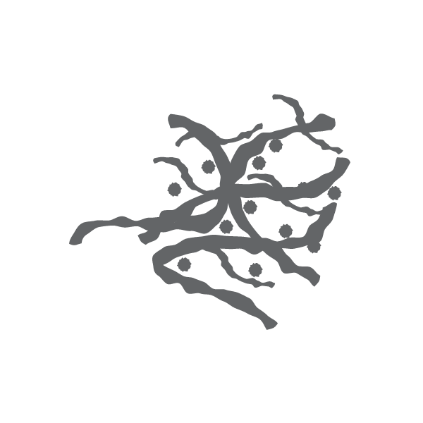 Mold - A. alternate (m6)