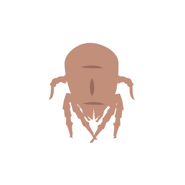 House dust mite (d1)