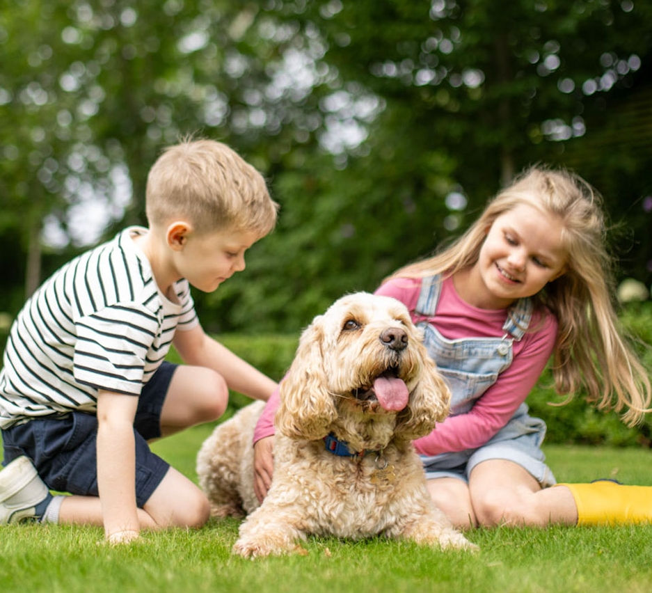 Un jeune garçon et une jeune fille caressent leur chien sur la pelouse