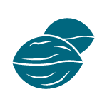 Tree nut allergen icon