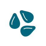 Sesame allergen icon