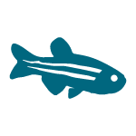 Fish allergen icon