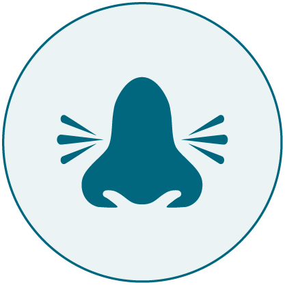 Egg white allergen icon