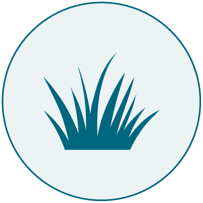 Shell fish allergen icon