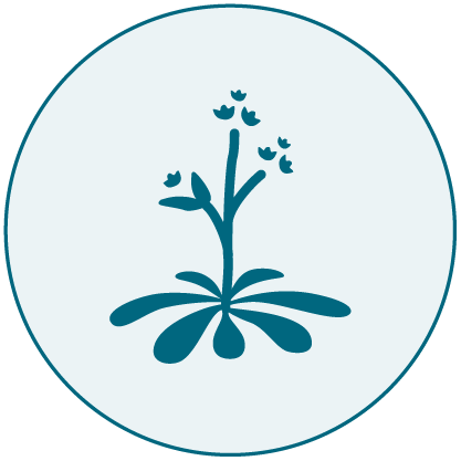 Egg white allergen icon