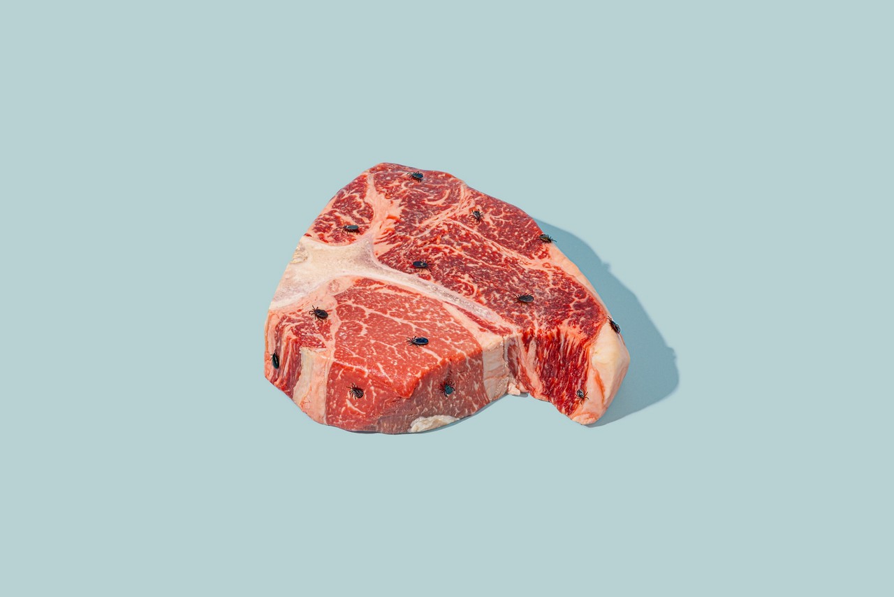 Raw steak covered in flies | alpha-Gal syndrome