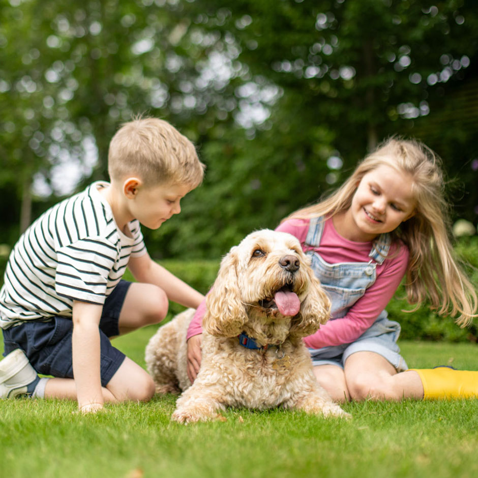 A young boy and girl petting their dog on the lawn