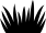 Grass Pollen