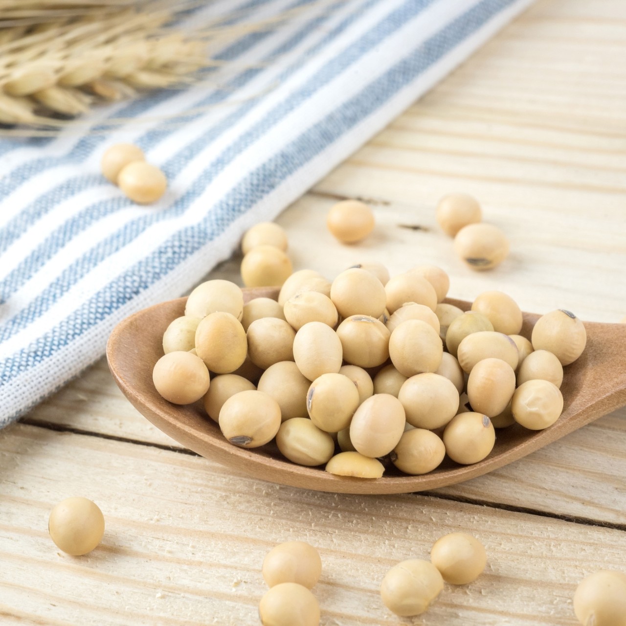 Soy beans