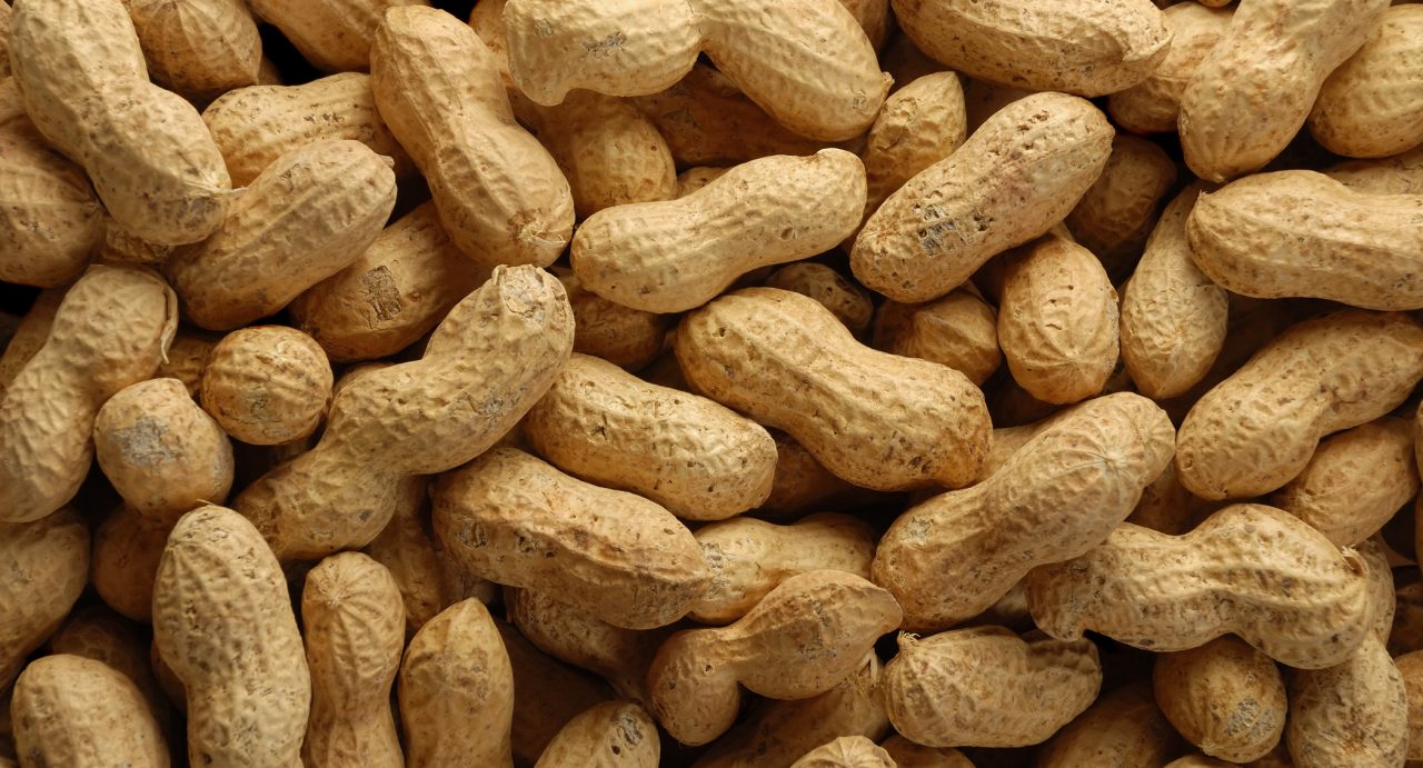 peanuts
