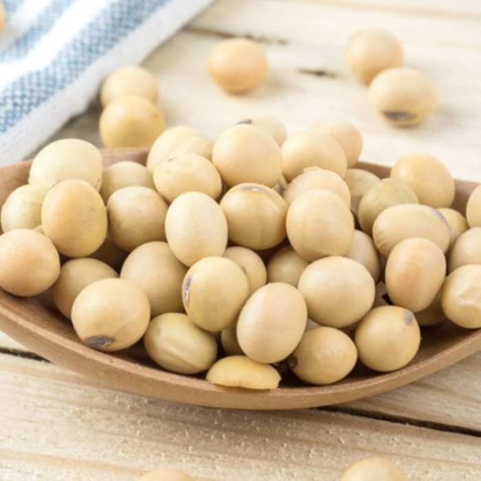 Plate of soy beans on a table | Oral Allergy Syndrome causes