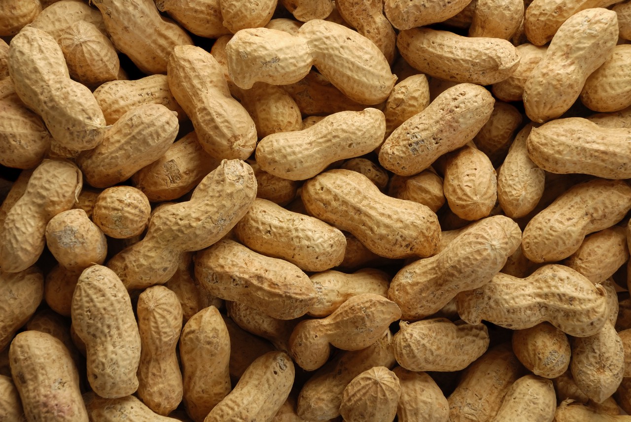 peanuts