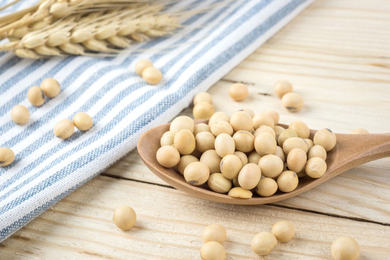 soy