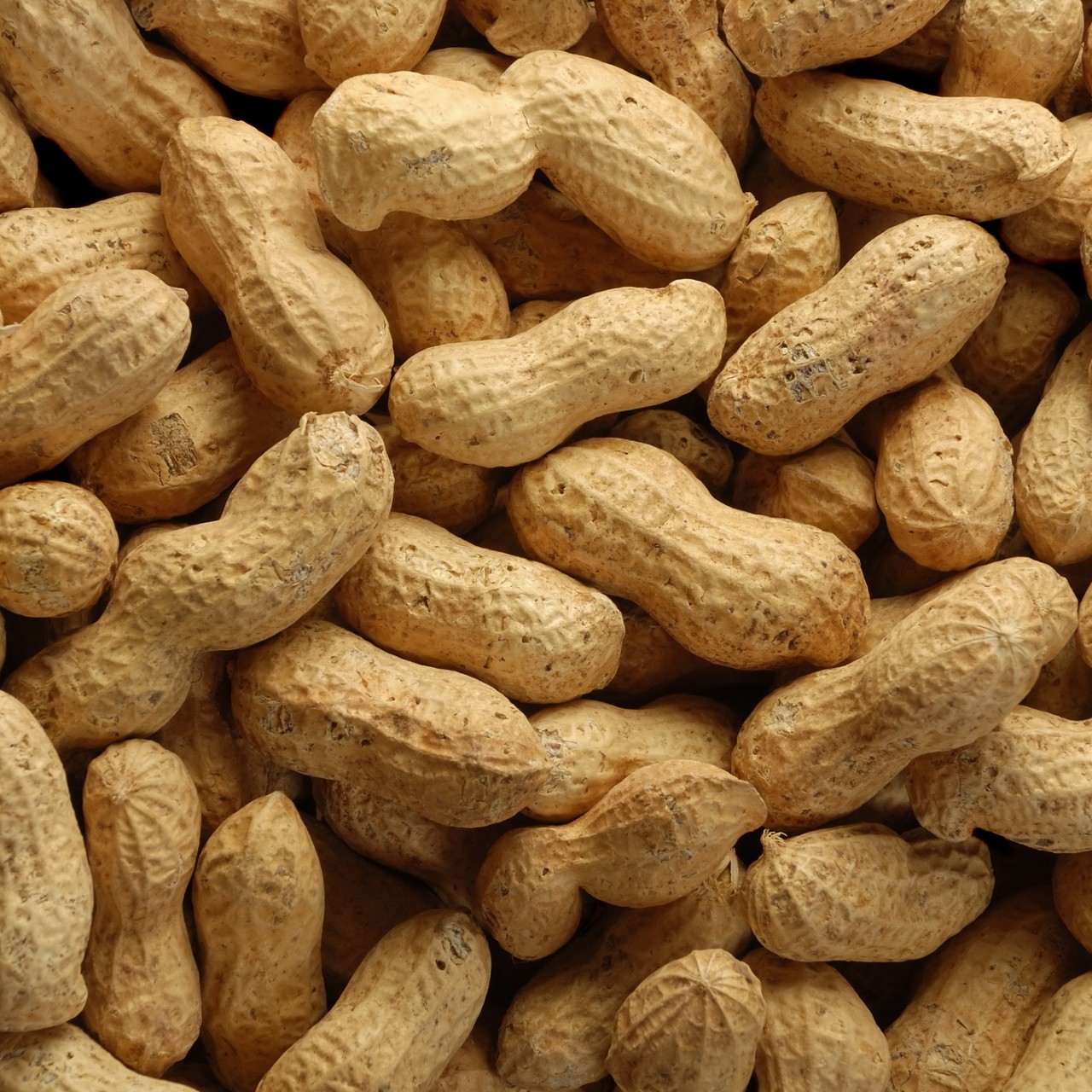 Peanuts